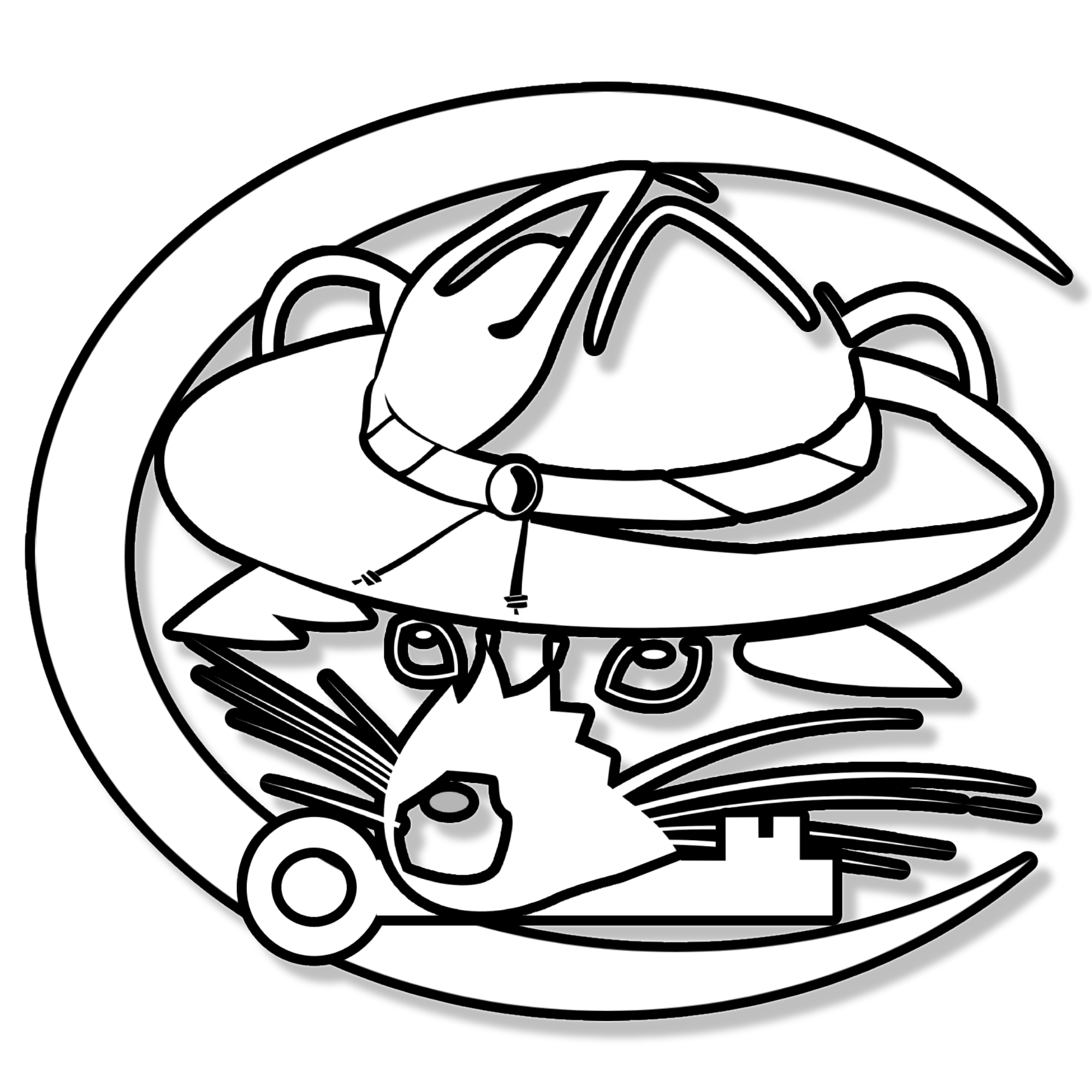 RaccoonLock Logo